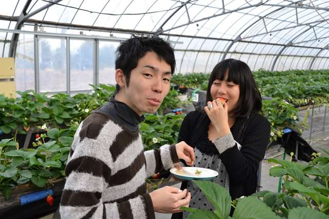 いちご狩り