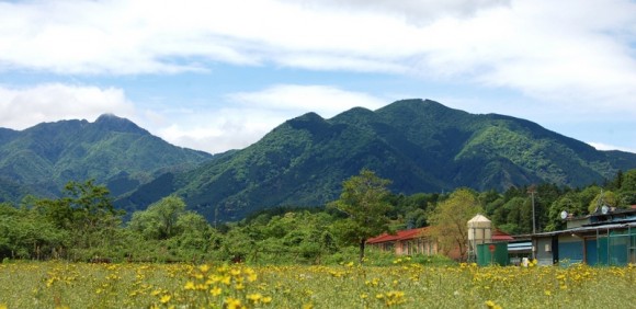 内部川実顕地