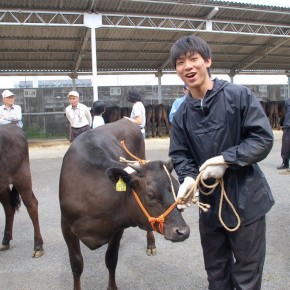 日頃は乳牛部で実学