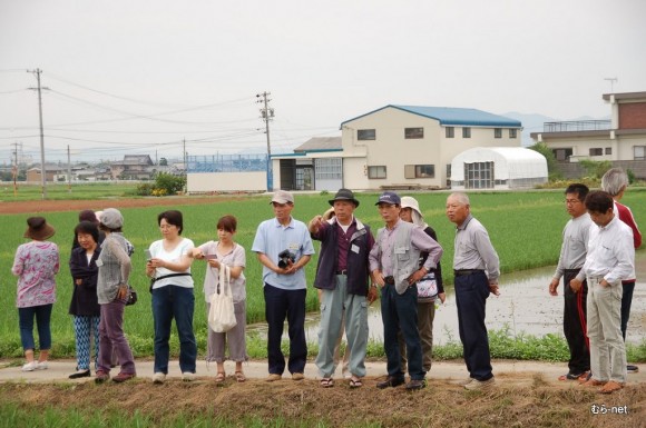 田んぼの参観