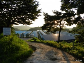 朝の韓国実顕地風景