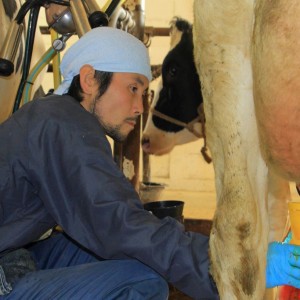 鈴木晃さん　　「別海酪農部D牛舎メンバー紹介」  生活館から約１２キロ離れたところにD牛舎はあります。 99頭の繋ぎ牛舎で一日約5000リットルの牛乳を搾乳しています。 朝５時から作業を行なっています。