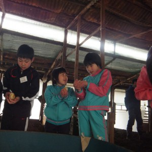 DSCF0697