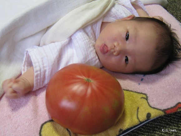 樋口菜都（なつ）ちゃん2012年5月18日産まれ