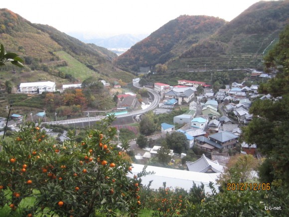 みかん畑からの六川実顕地