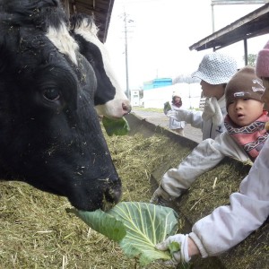 1-2012-12-27 幼年楽園村 028