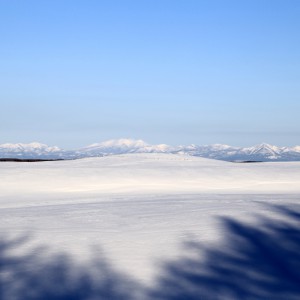 B牛舎 近くの雪原から見た標津連峰