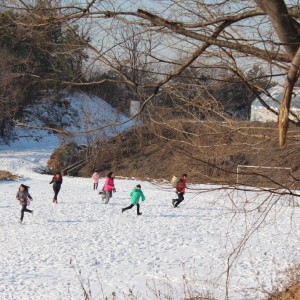 お山の運動会