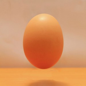 tamago-