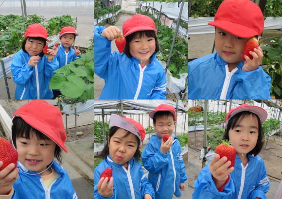 1-20113春の幼年楽園村