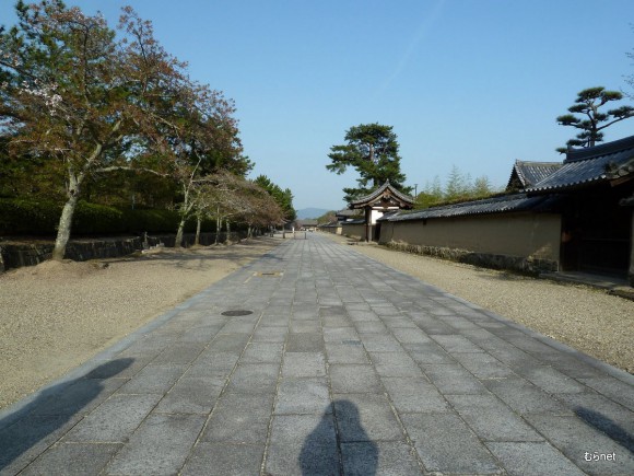 法隆寺・参道（夢殿のほうへ向かう）