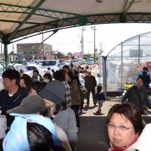 豚の丸焼きに並びました