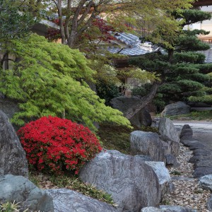 4月3日のフォト 豊里村人窓口東：鎌田茂樹(西宮)