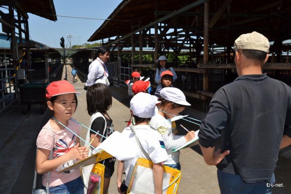 高野尾小学校乳牛部探険 2012-01-007