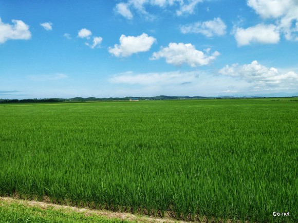 大潟村風景[7/20]