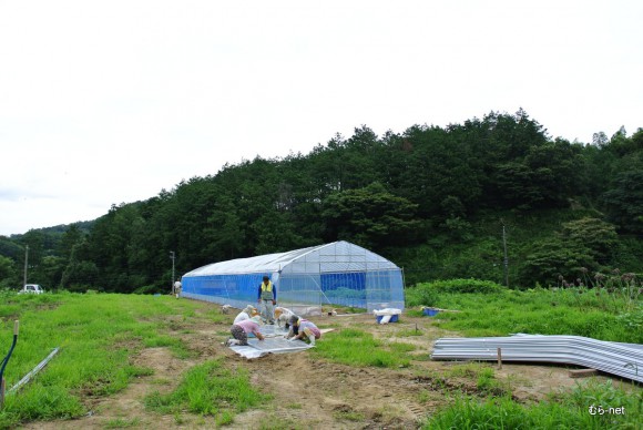 養鶏法でハウス建設、一志メンバーでビニール張りをし、1棟目が完成しました。