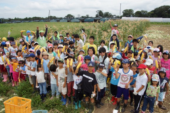 トウモロコシの収穫！(夏の楽園村)