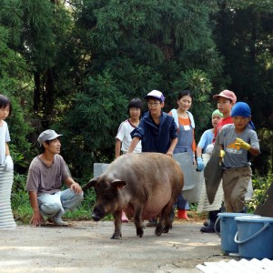 職場体験