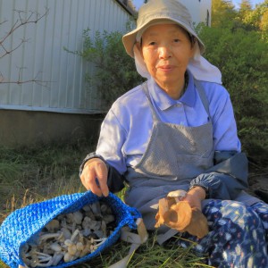 山菜採りの名人岩崎昭子さん◆井口義友(別海)