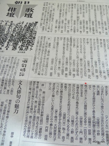 2013/9/30　朝日新聞朝刊