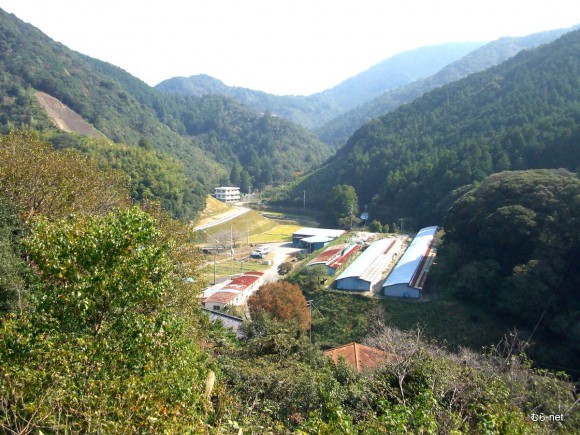 観音寺日和佐農場(巣立ちの丘から)