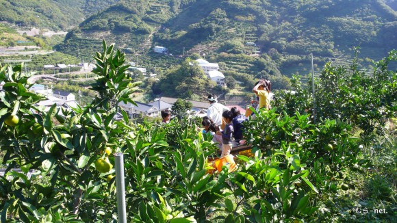 先月開催された「みかん狩り親子交流」より　六川実顕地メンバーと子ども達