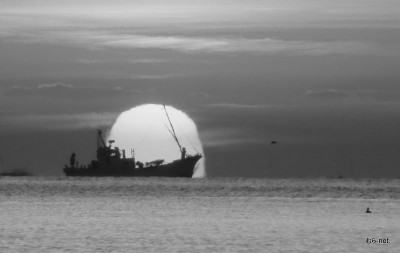 日の出とホッキ貝漁漁船