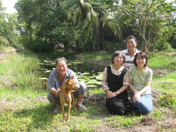 [タイ実顕地] あけましておめでとうございます。  愛犬の「武蔵」もタイ実顕地メンバーの一員です。