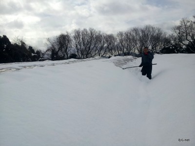 春日山蔬菜ハウスの雪下ろし