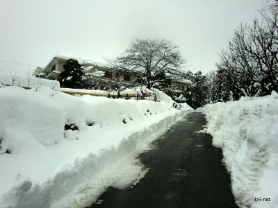 生活館へのメイン通路 (2)