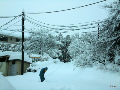 生活館へのメイン通路