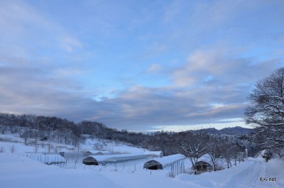 雪景色