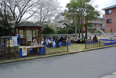 一志実顕地での花見野外食