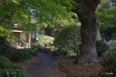 豊里の風景