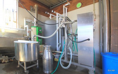 7、哺乳舎の湯の活用、中央灰色のタンクが熱交換器、CHPから熱い不凍液がこのタンクに送られ水と熱交換される。右は子牛用の牛乳殺菌装置です。
