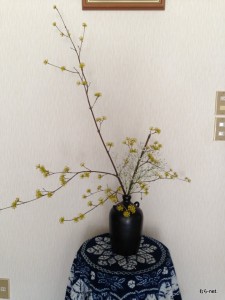 玄関にはまんさくの花