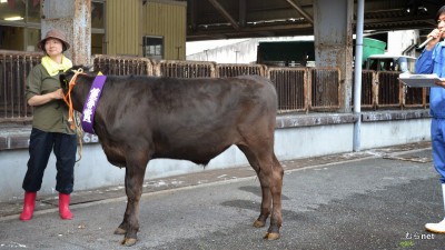 09-松阪子牛市場 020