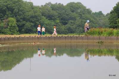 蓮池の前で