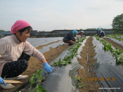 村人での定稙