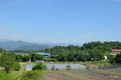 榛名実顕地の風景