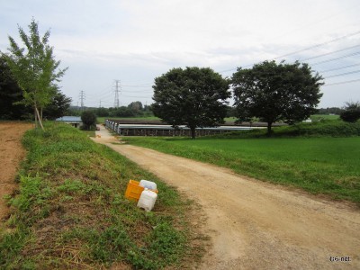 養鶏部へ行きます。韓国では、10棟分の鶏舎を建てれる土地を時間をかけて探したそうです