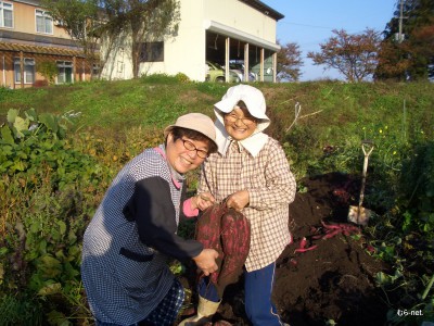 妹尾さ～ん、重山光子さ～ん。凄いよ。春日からの苗がこんなに育った～。