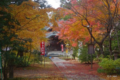 加賀の江沼神社と山の文化館の紅葉です◆新村正人(加賀)
