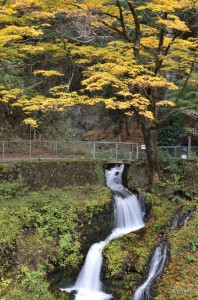 箱島湧水