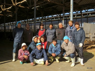 韓国やモンゴルからの実習生を受け入れて国際色豊かな職場(乳牛部)