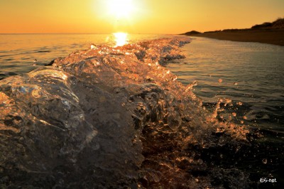 朝の浜辺