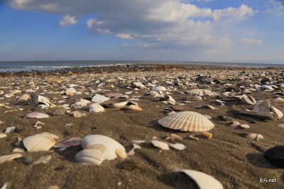 網走オホーツク海の浜辺