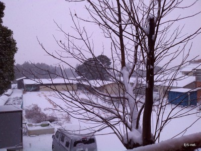 内部川初雪◆浅井典子（内部川）