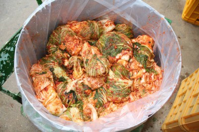kimchi (25)