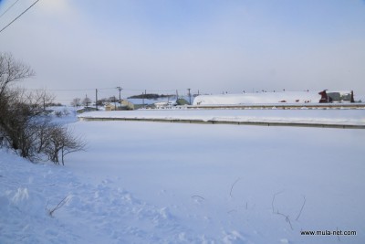 別海実顕地の養鶏部鶏舎の除雪前◆井口義友(別海)